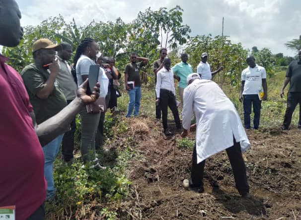 eden-seed-farms-nakuru